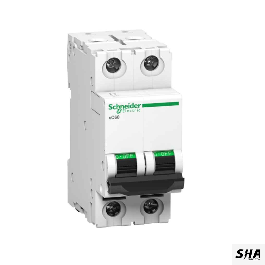 Schneider Electric MCB 40A Double Pole (2-Pole) 10kA C Curve (A9N2P40C) - Sha360